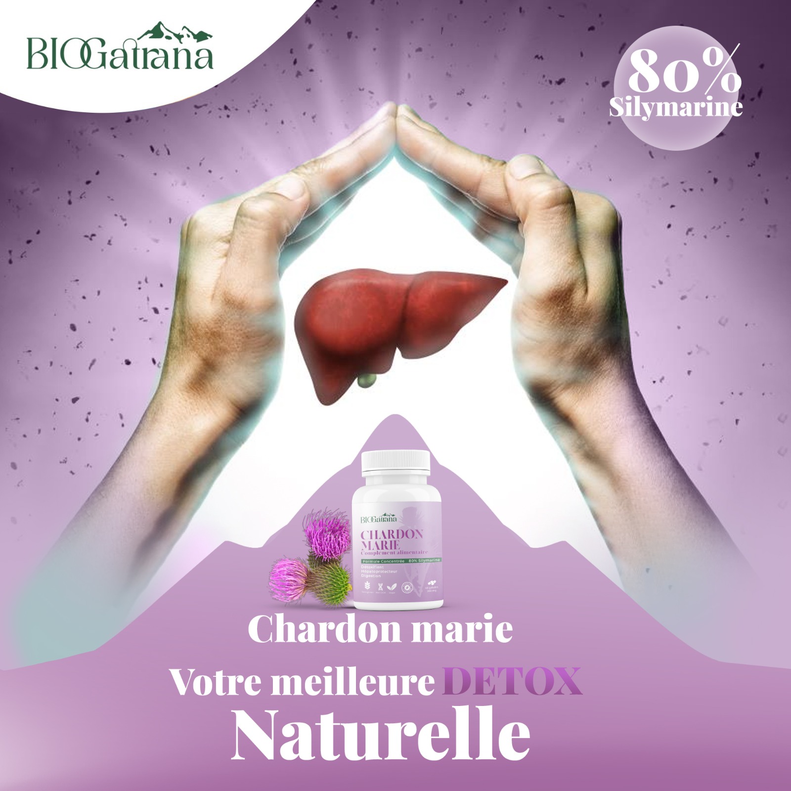 Vue arrière du véhicule habillé